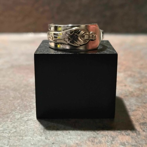 Spoon ring for - spoon, any